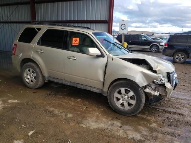 2012 Ford Escape Limited