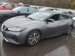 Nissan Maxima SL salvage cars for sale: 2020 Nissan Maxima SL