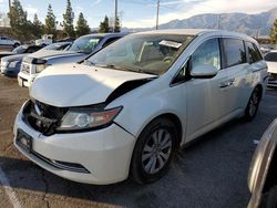 Salvage cars for sale from Copart Rancho Cucamonga, CA: 2015 Honda Odyssey EX