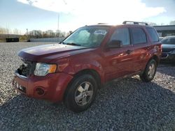 Salvage cars for sale at Wayland, MI auction: 2011 Ford Escape XLT