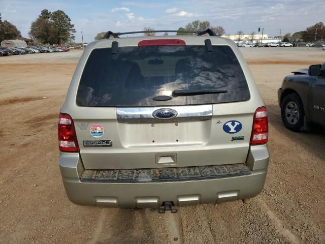 2011 Ford Escape Limited