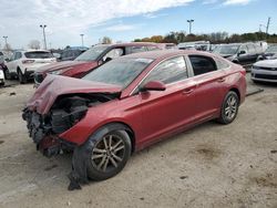 Salvage cars for sale from Copart Indianapolis, IN: 2016 Hyundai Sonata SE