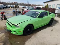 Salvage cars for sale at Louisville, KY auction: 2014 Ford Mustang