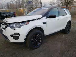 Land Rover salvage cars for sale: 2019 Land Rover Discovery Sport HSE