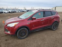 2013 Ford Escape SE en venta en Rocky View County, AB