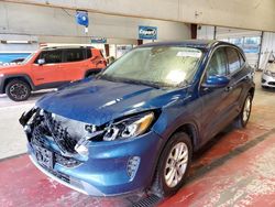 Ford Escape SE Vehiculos salvage en venta: 2020 Ford Escape SE