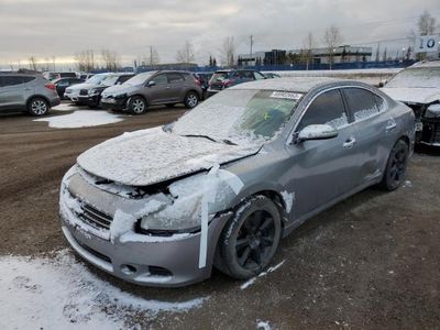 Salvage cars for sale from Copart Rocky View County, AB: 2009 Nissan Maxima S