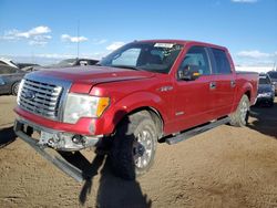Salvage cars for sale at Brighton, CO auction: 2012 Ford F150 Supercrew