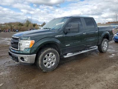 Vehiculos salvage en venta de Copart Columbia Station, OH: 2013 Ford F150 Supercrew