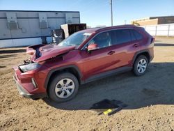 Salvage cars for sale from Copart Bismarck, ND: 2021 Toyota Rav4 LE
