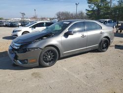 Salvage cars for sale at Lexington, KY auction: 2010 Ford Fusion SEL