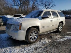 Salvage SUVs for sale at auction: 2013 GMC Yukon Denali