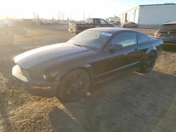 Salvage cars for sale from Copart Rocky View County, AB: 2007 Ford Mustang