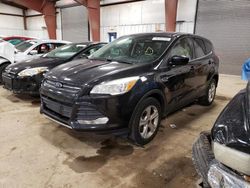 Salvage cars for sale at Lansing, MI auction: 2014 Ford Escape SE