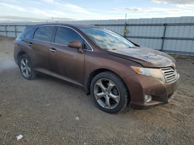 2010 Toyota Venza