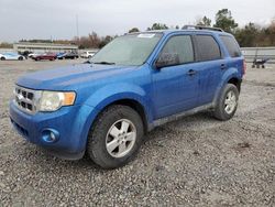 2012 Ford Escape XLT for sale in Memphis, TN