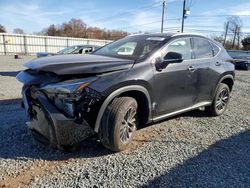 Lexus NX 350 salvage cars for sale: 2023 Lexus NX 350