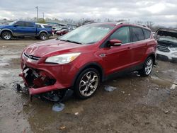 Ford Escape salvage cars for sale: 2014 Ford Escape Titanium