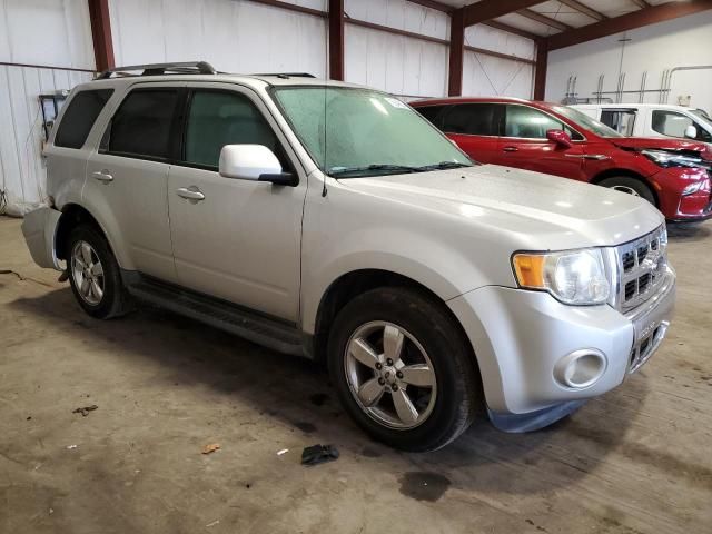 2009 Ford Escape Limited