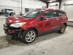 Salvage cars for sale at Avon, MN auction: 2015 Ford Escape Titanium