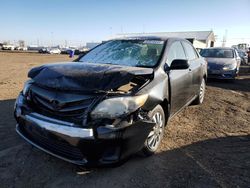 2011 Toyota Corolla Base en venta en Brighton, CO