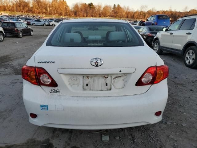 2010 Toyota Corolla Base