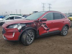 Salvage cars for sale at Elgin, IL auction: 2020 Ford Escape Titanium