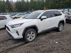 Salvage cars for sale at Graham, WA auction: 2020 Toyota Rav4 XLE