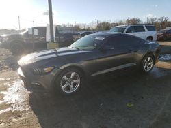 Salvage cars for sale at Louisville, KY auction: 2015 Ford Mustang