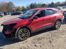 Salvage cars for sale at Madisonville, TN auction: 2022 Ford Escape SE