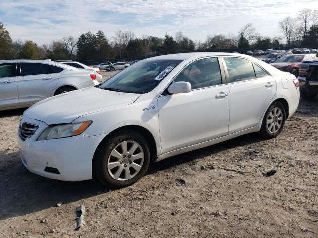 2007 Toyota Camry Hybrid