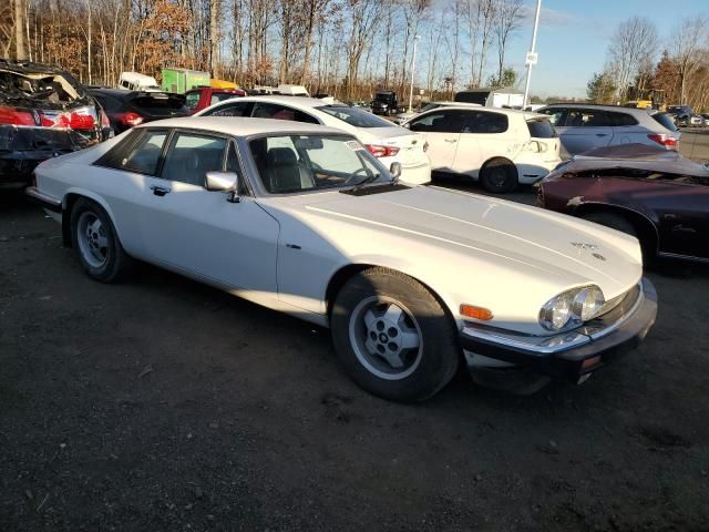 1982 Jaguar XJS