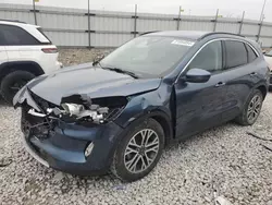 Salvage cars for sale at auction: 2020 Ford Escape SEL