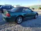 2001 Ford Mustang