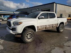 Salvage cars for sale at Fort Pierce, FL auction: 2019 Toyota Tacoma Double Cab