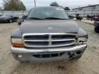 2004 Dodge Dakota SLT