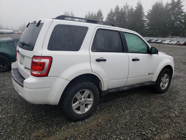 2009 Ford Escape Hybrid