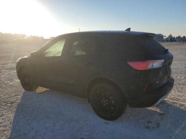 2020 Ford Escape SE Sport