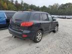 2009 Hyundai Santa FE SE