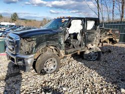 Salvage trucks for sale at Candia, NH auction: 2012 Ford F250 Super Duty