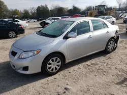 Toyota salvage cars for sale: 2010 Toyota Corolla Base