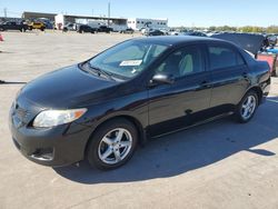 Salvage cars for sale from Copart Grand Prairie, TX: 2009 Toyota Corolla Base