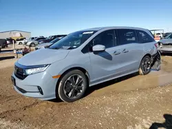 Honda Odyssey salvage cars for sale: 2024 Honda Odyssey Elite