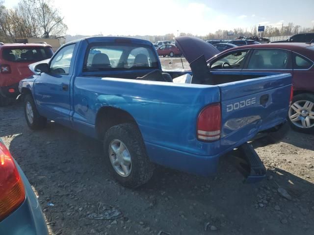 2000 Dodge Dakota