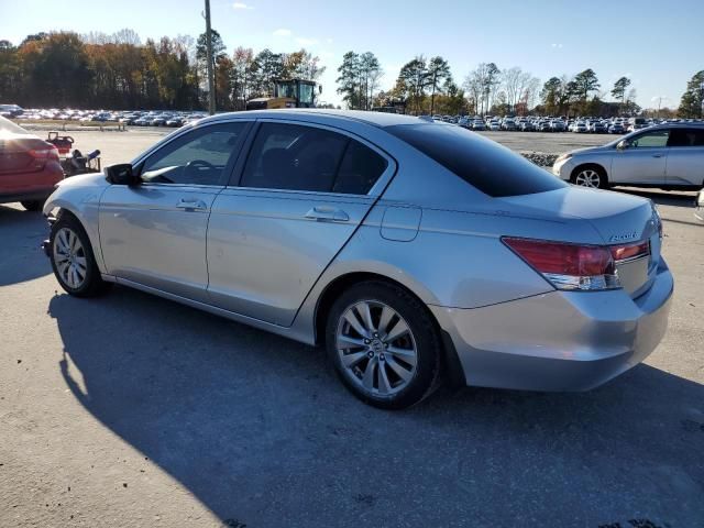 2011 Honda Accord EXL