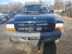 2003 Dodge Dakota SXT