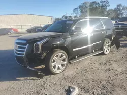 Cadillac Vehiculos salvage en venta: 2016 Cadillac Escalade Premium