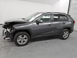 Toyota salvage cars for sale: 2024 Toyota Rav4 XLE