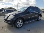 2010 Mercedes-Benz ML 350