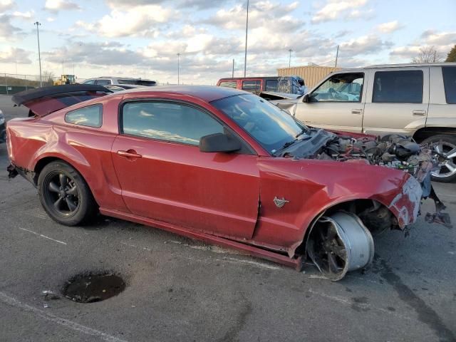 2009 Ford Mustang GT